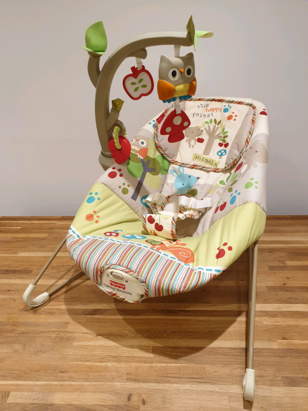 fisher price cozy cocoon bouncer